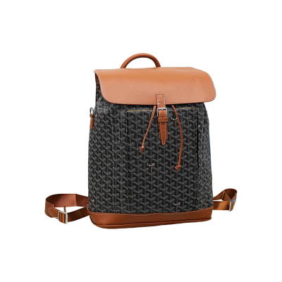 Goyard Bag