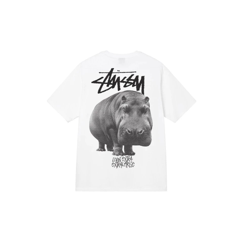 Stussy Tee 34+ colorways [Premium Quality] foto 6