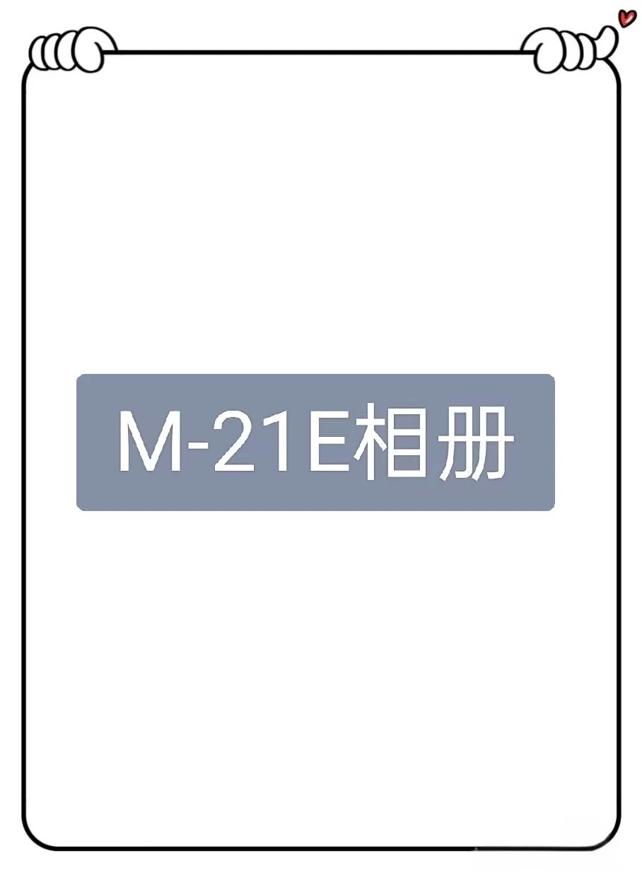 M29957-21E American Streetwear Heavyweight Cap