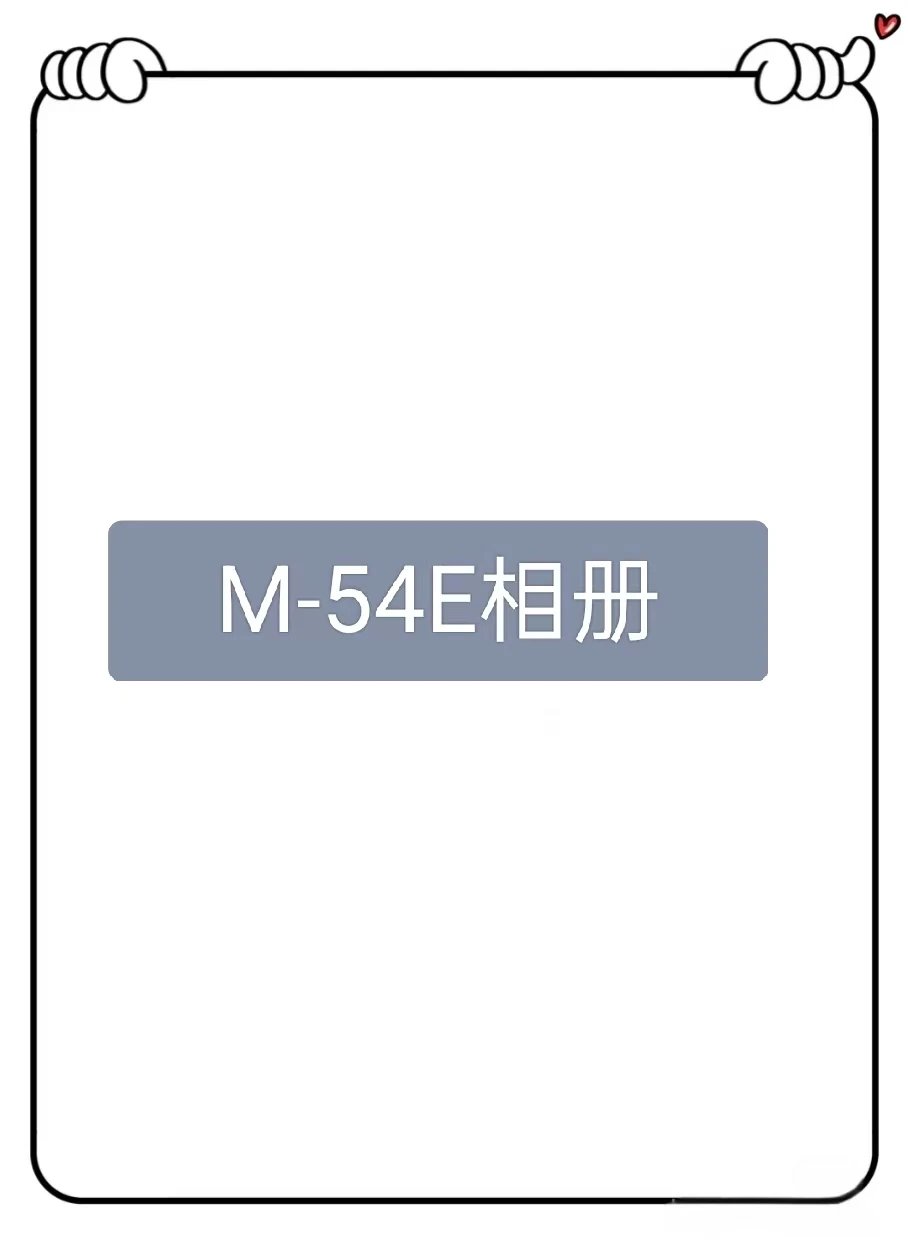 M20166-54E American Trendy Brand Heavy Hoodie