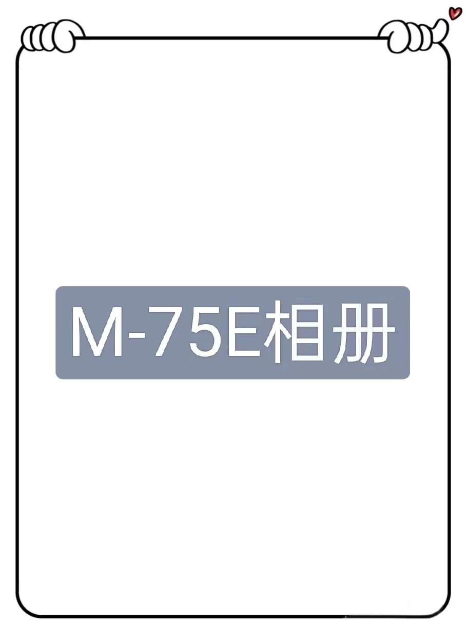 M19871-75E American Trendy Brand Heavy Pants
