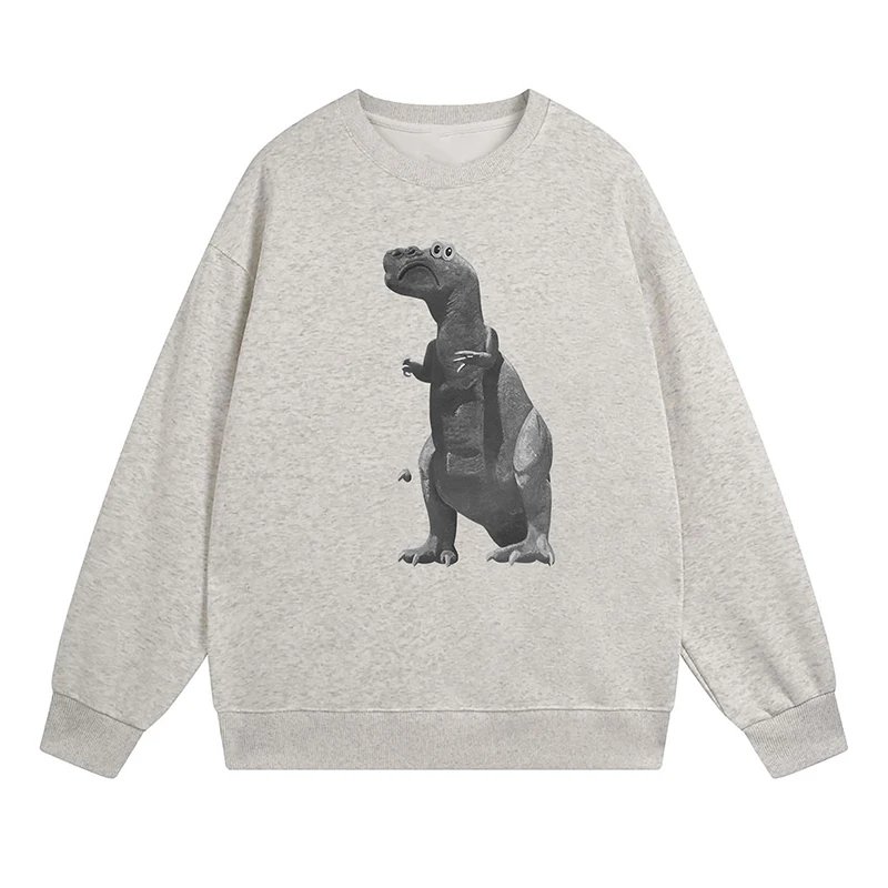 Dinosaur Print Round Neck Hoodie