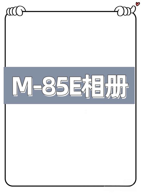 M28513-85E American Streetwear Heavyweight Short Sleeve T-Shirt