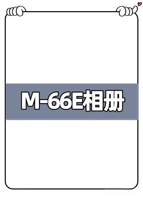 M29752-66E American Streetwear Heavyweight Bracelet