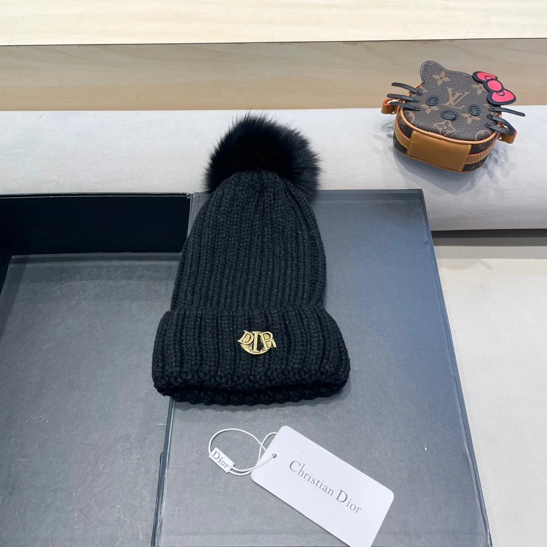 Dior knitted hat 5 colorways [Premium Quality]
