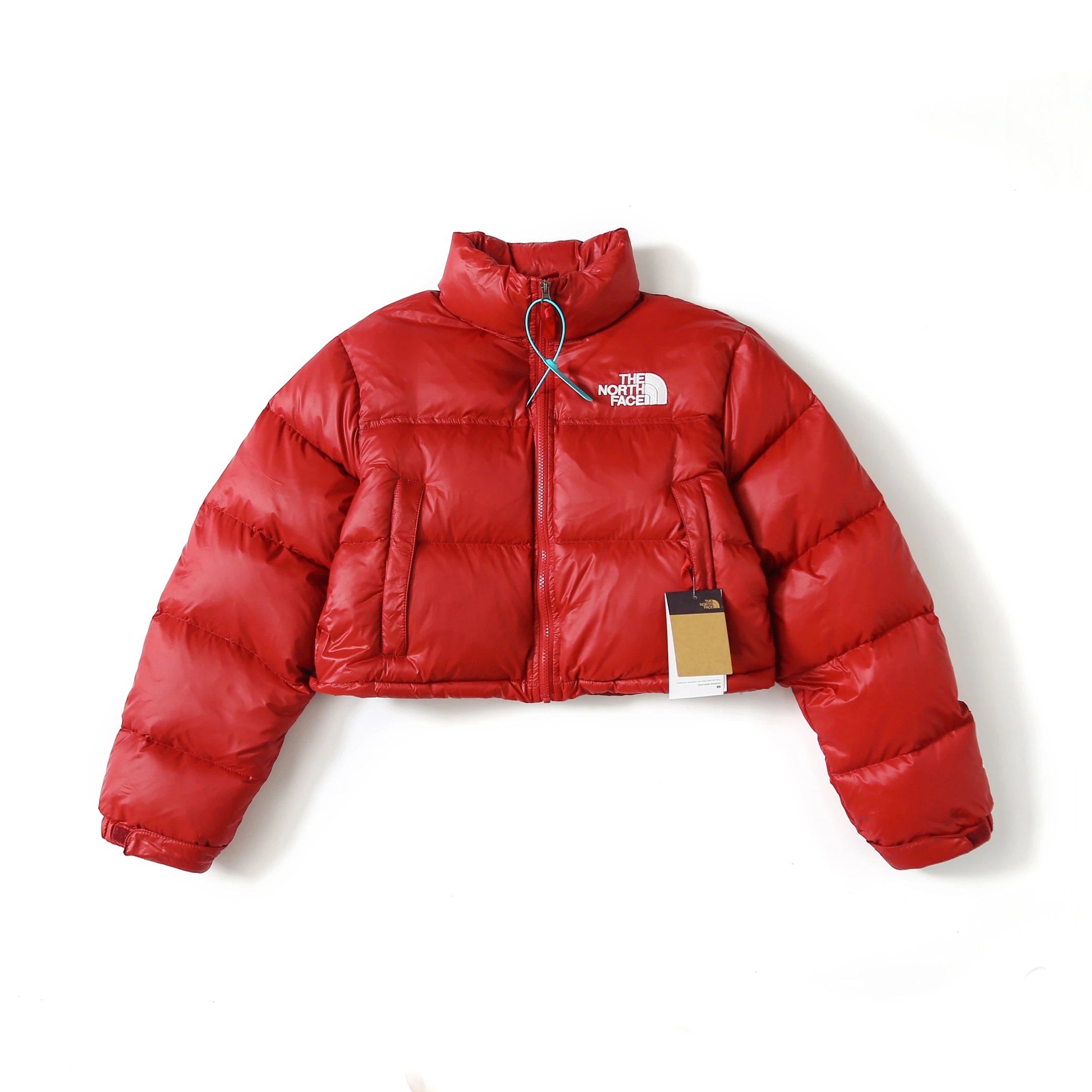 THE NORTH FACE NUPTSE Down Jackets | 2 colorways