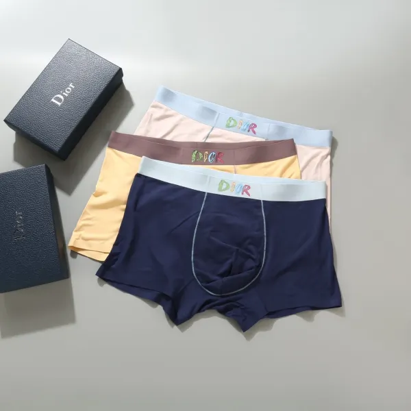 Dior Multicolor Logo Waistband Boxer Briefs Underwear - 1