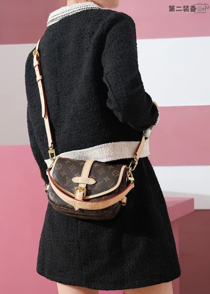 Louis Vuitton Monogram Saddle Bag Beige Crossbody Bag - 6