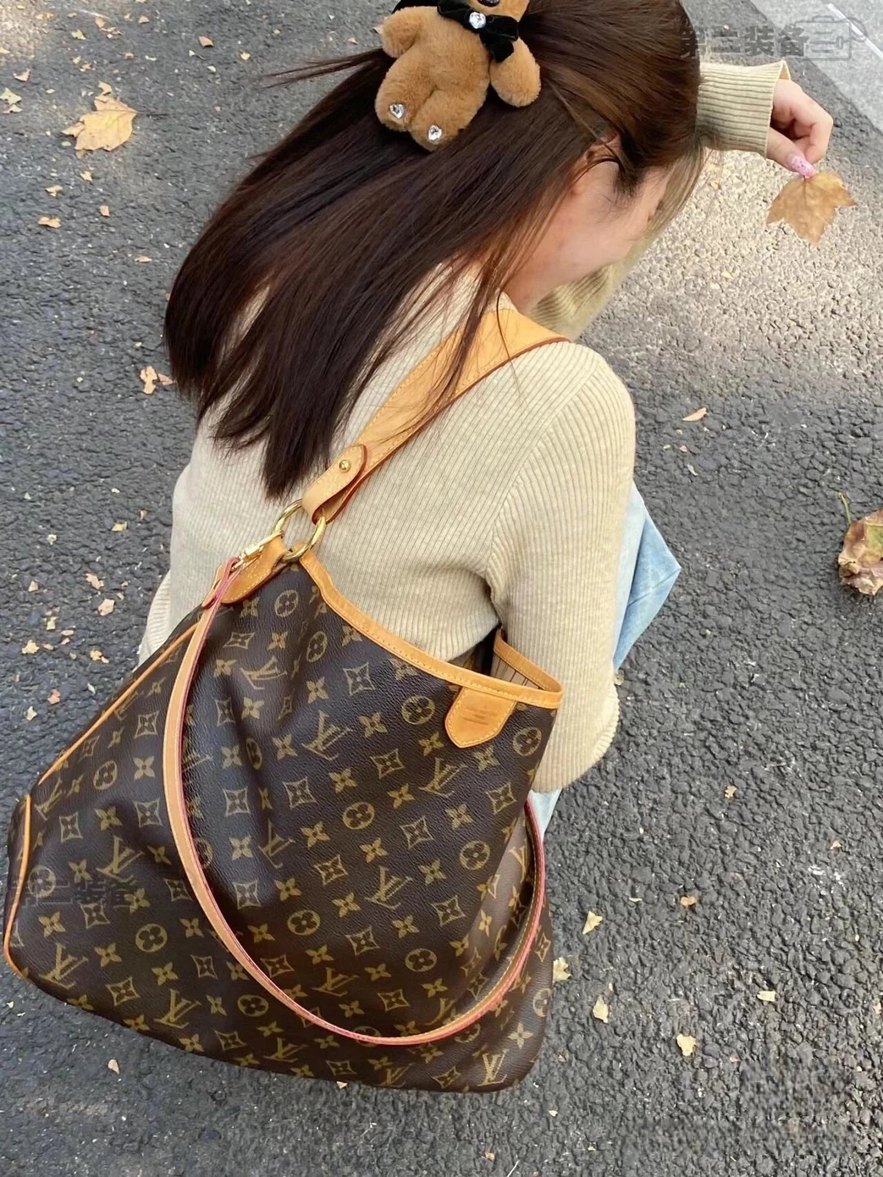 Louis Vuitton Monogram Canvas Neo Noé Shoulder Bag Brown - 18