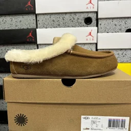 thumbnail for SK24-13857