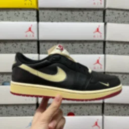 thumbnail for SK19-16095