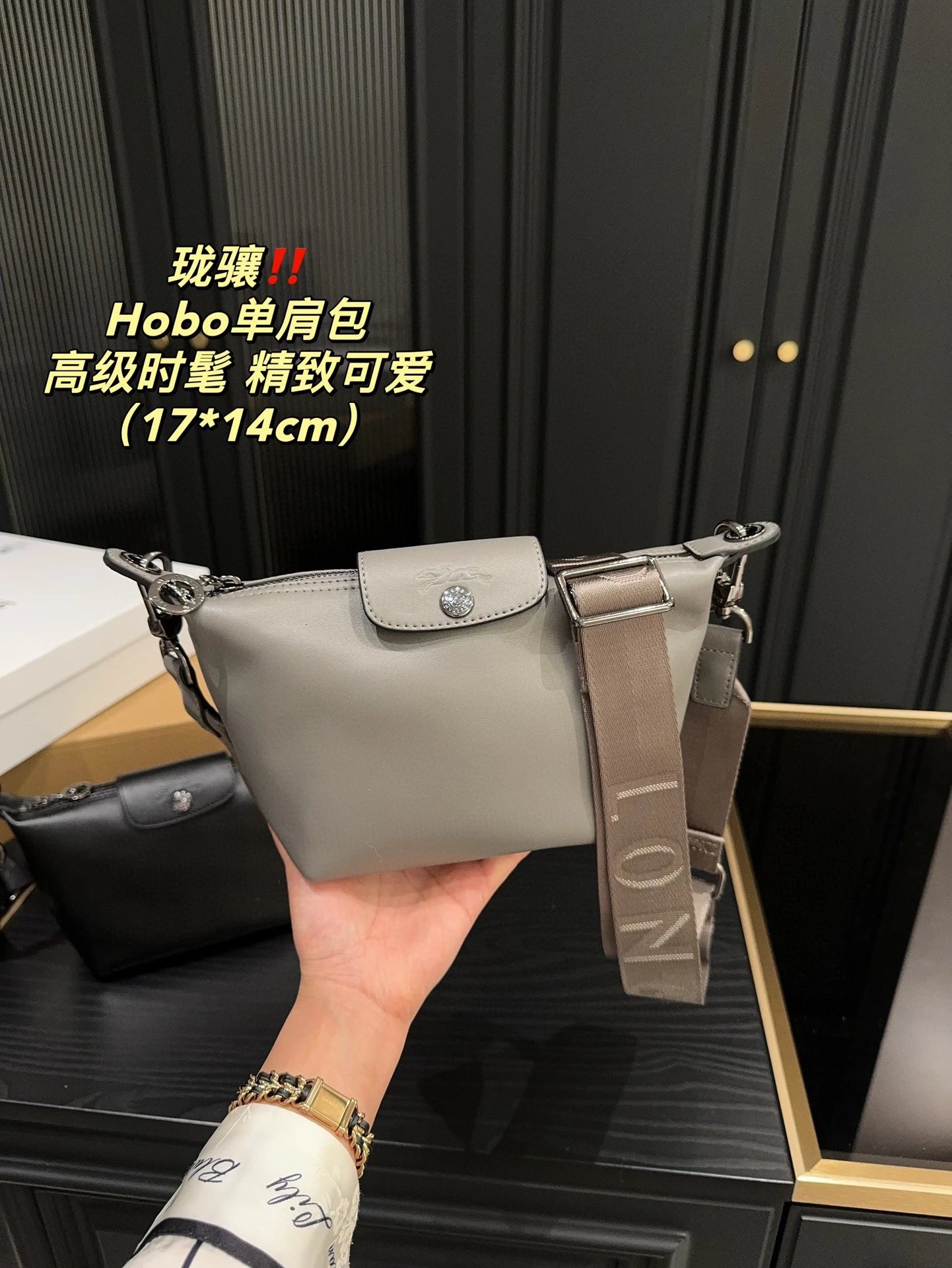 Longchamp Hobo Handbags - 132735