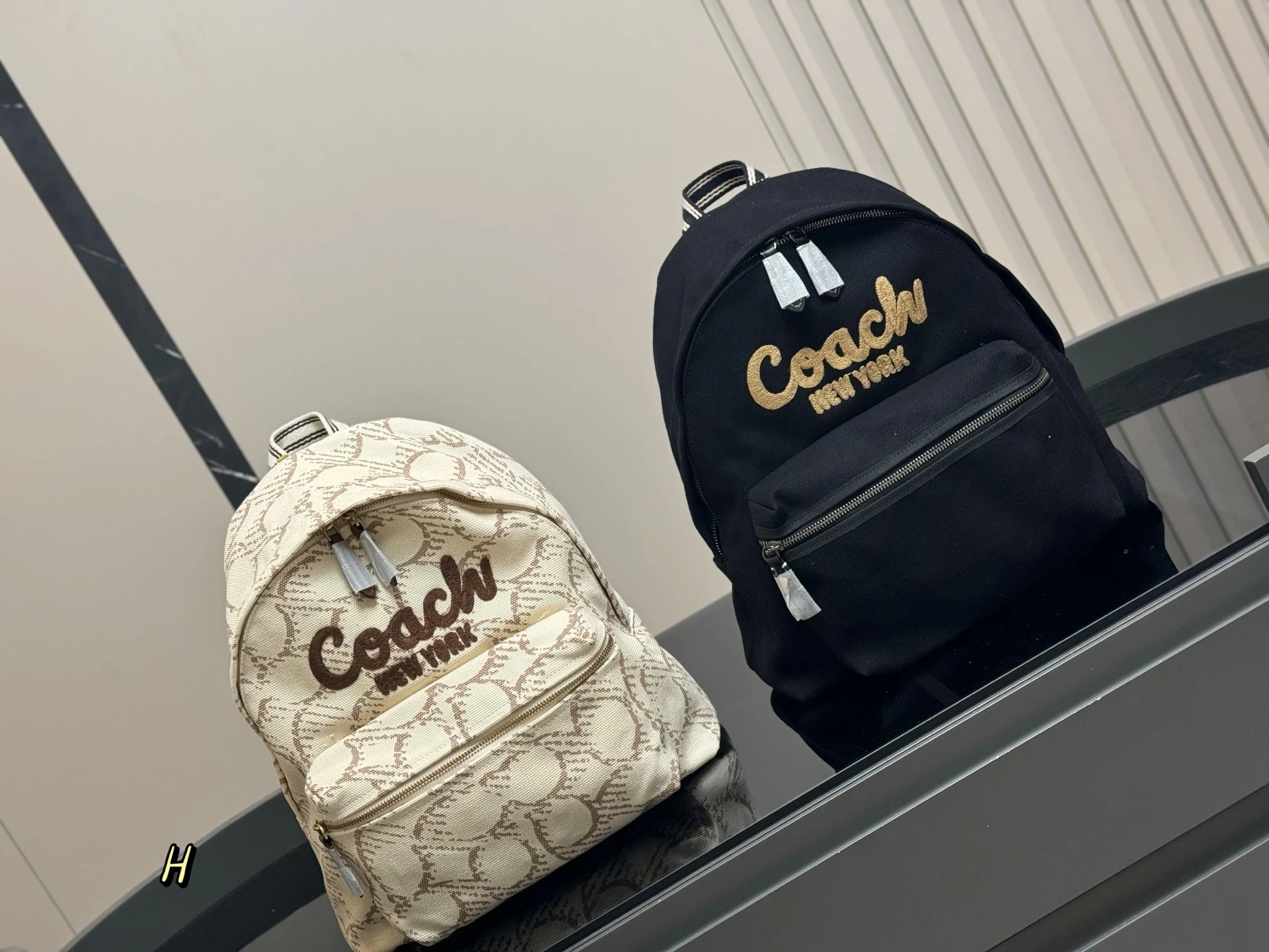 C**ch Backpack canvas 33*37cm - 132787