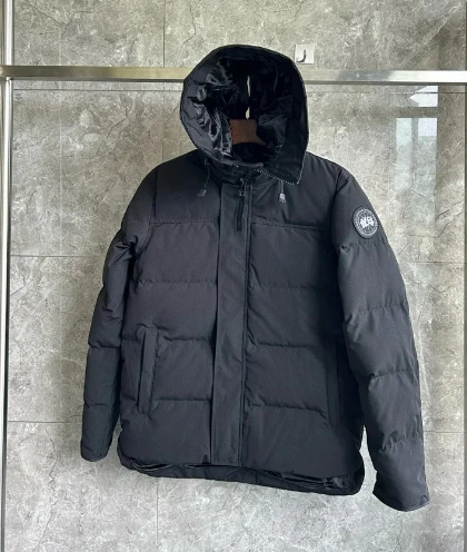 Goose cotton jacket  WhatsAPP+86 150 8026 7177