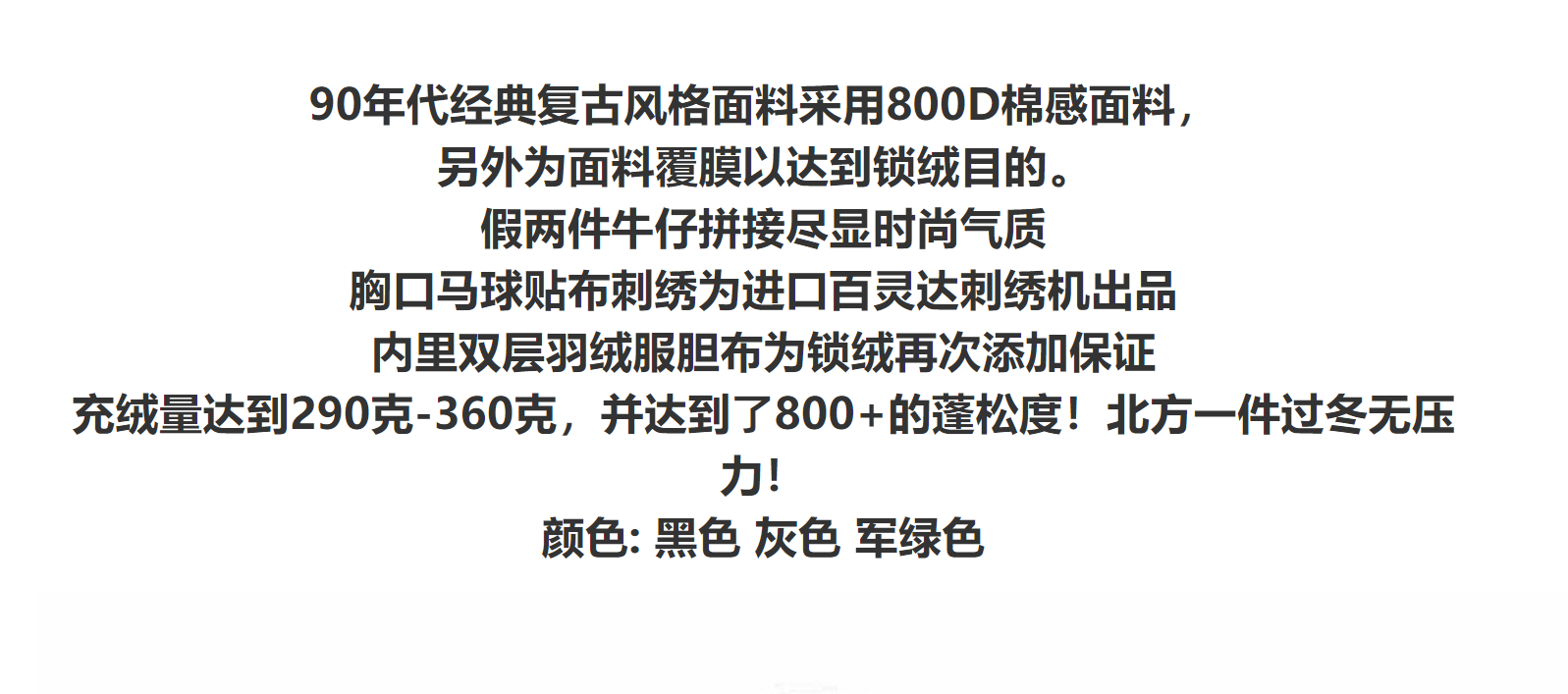 PoloRL Colorful Embroidered Down Jacket - Gallery Image 12 - Detailed View