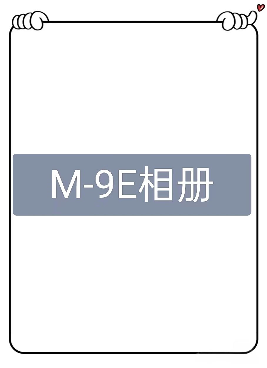 M24612-9E American Trendy Brand Heavy duty Hoodie