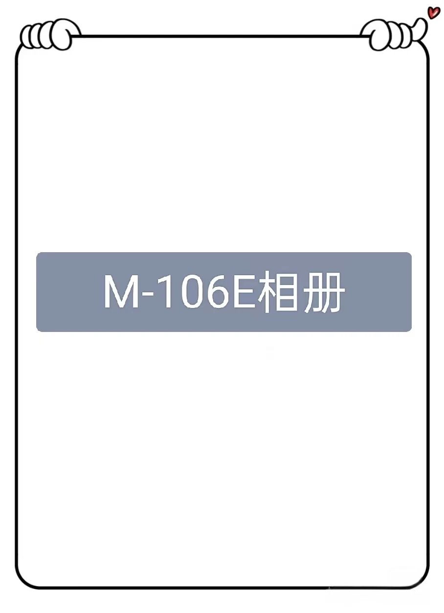 M21521-106E American Trendy Brand Heavy duty Hoodie