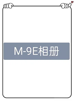 thumbnail for M23266-9E American Trendy Brand Heavy Hoodie