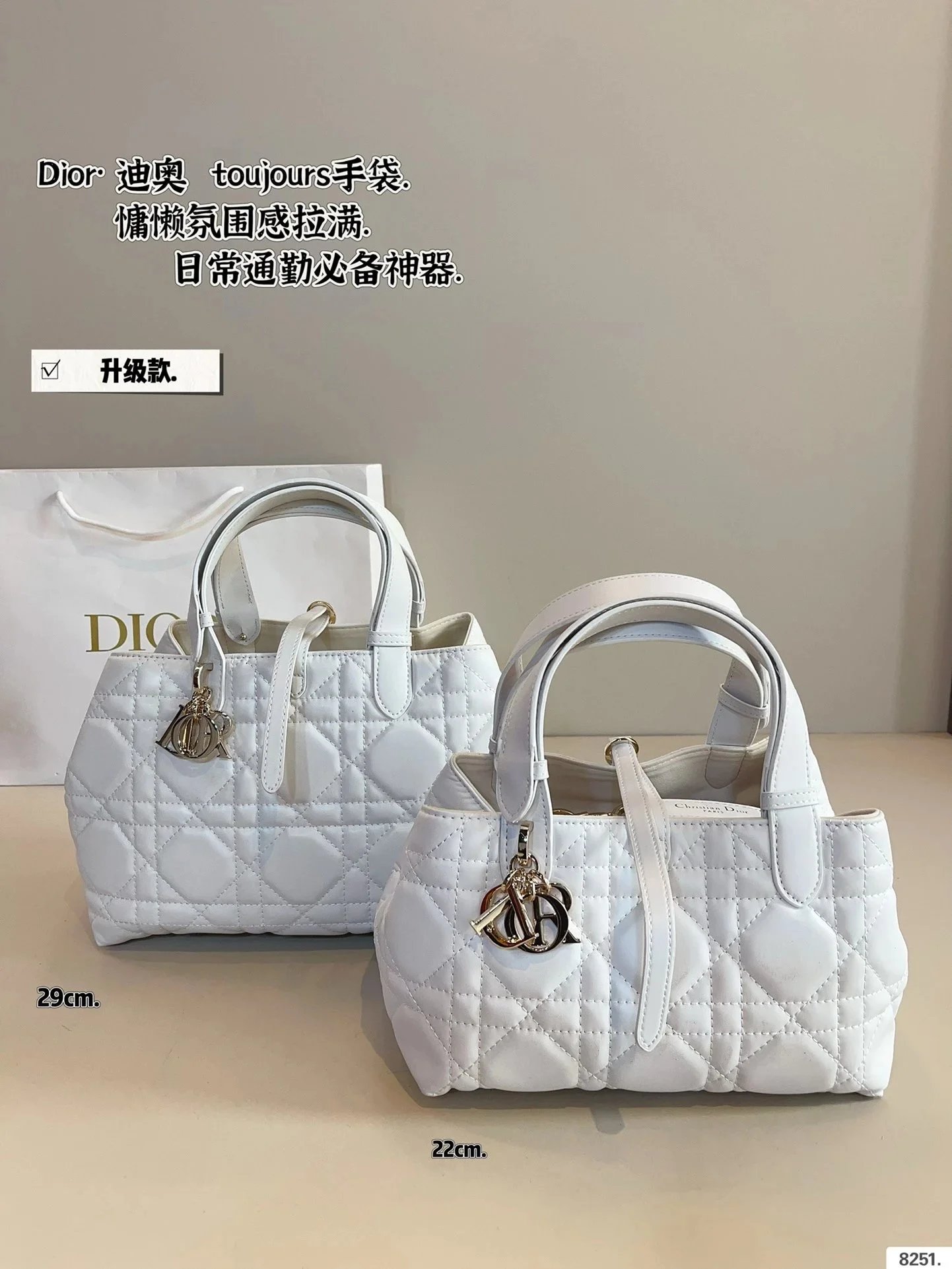 白手袋 sise（22*13*14）