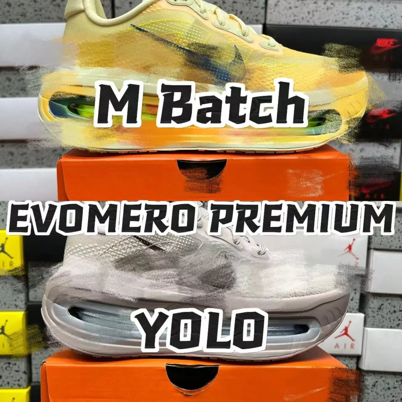 【M版】 EVOMERO PREMIUM 光版，无标/