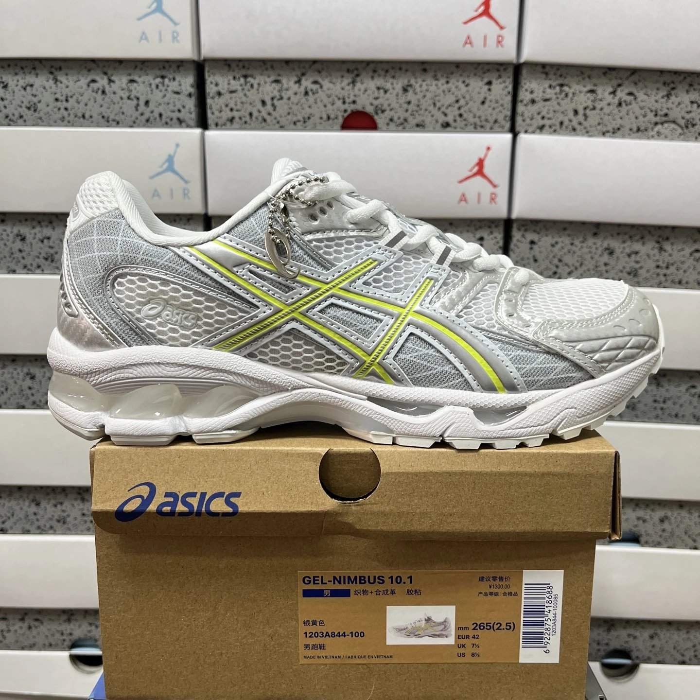 1203A844-100