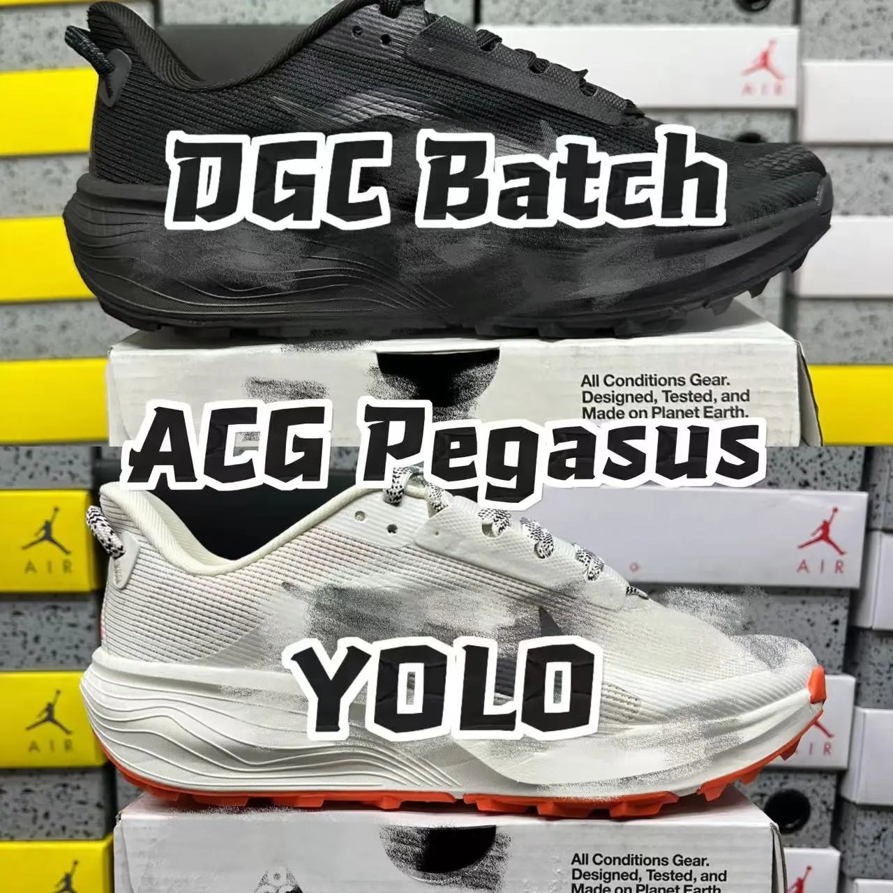 【DGC版】ACG Pegasus Trail /