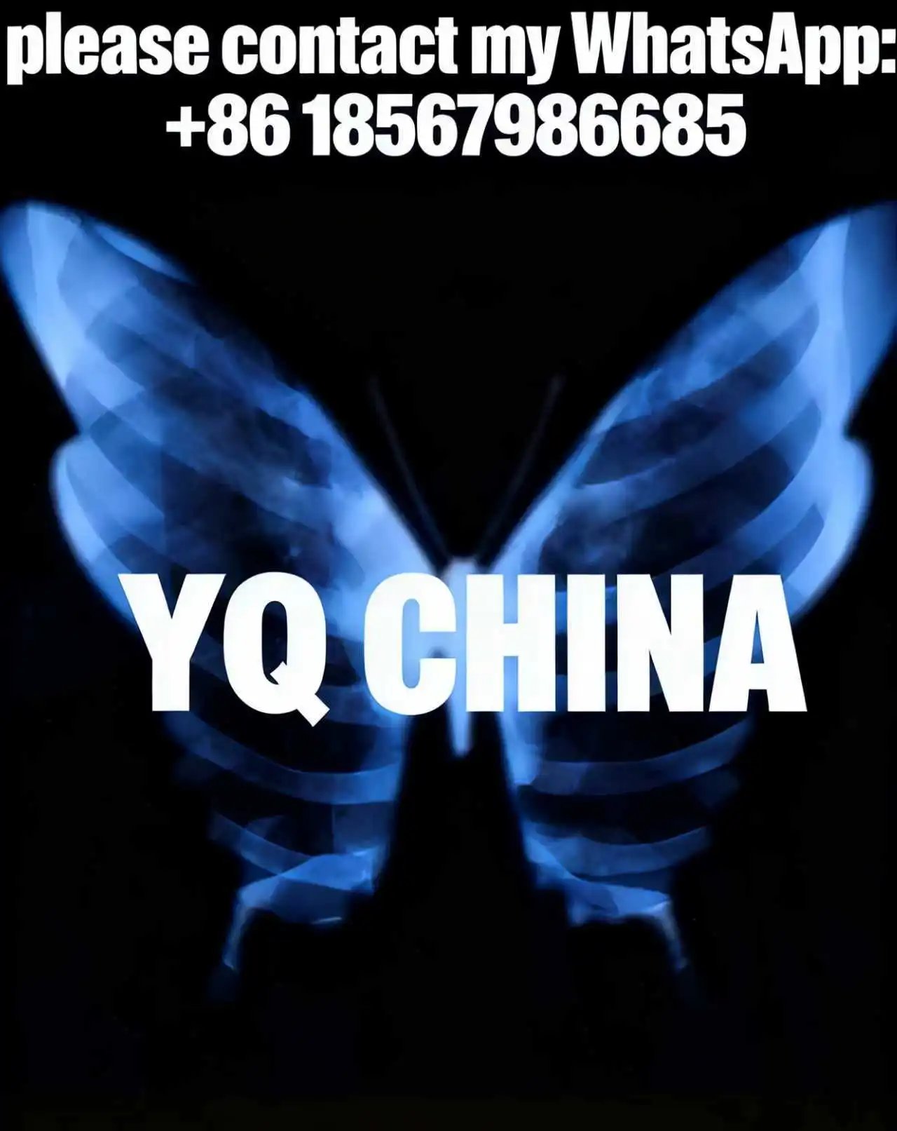 gc 腰带 4
