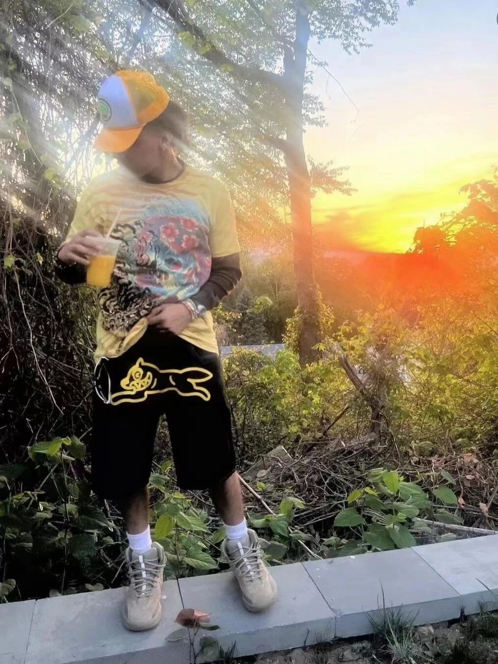 Flying Dog Denim Shorts photo 8