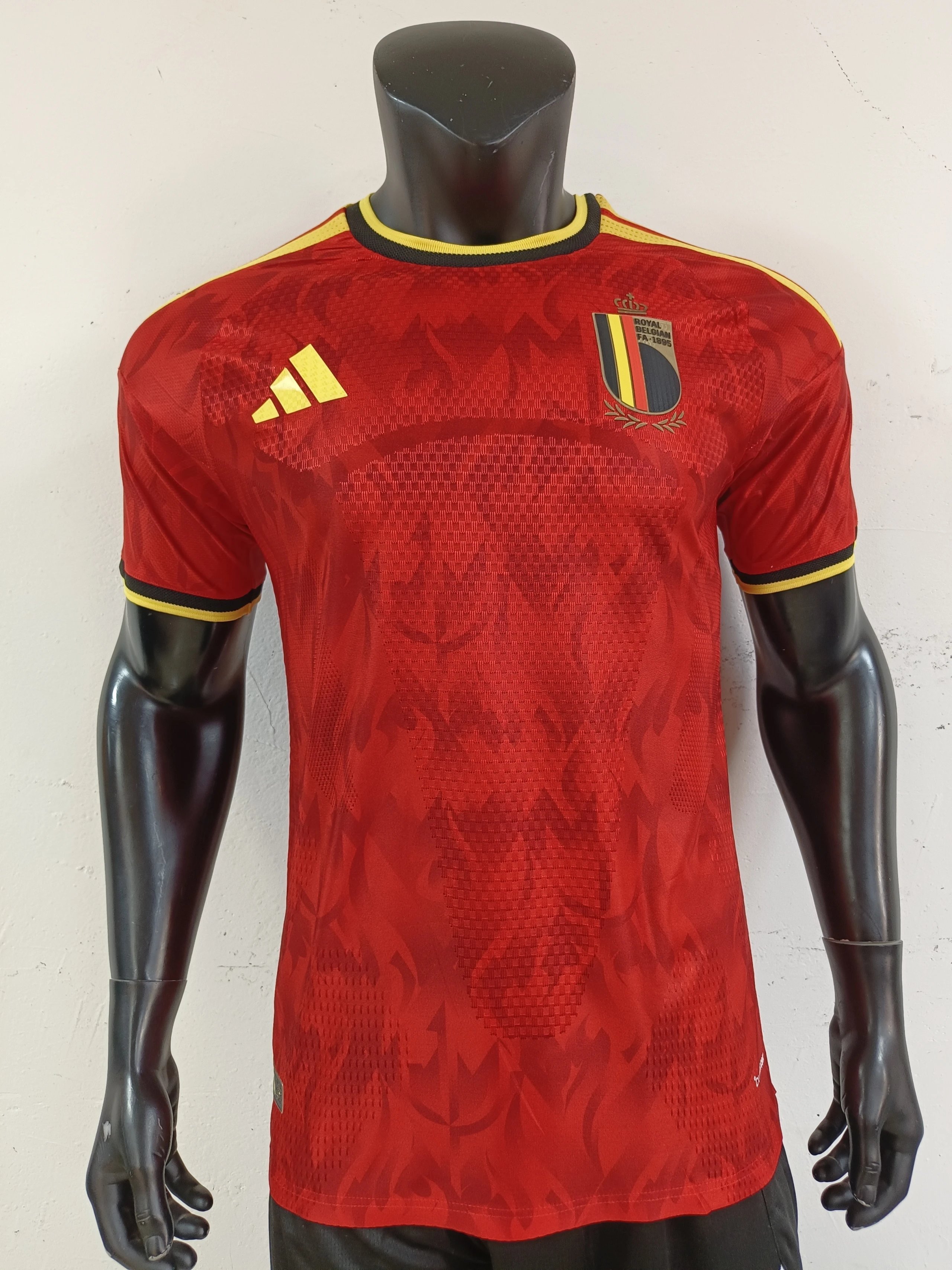 Belgium's home ground