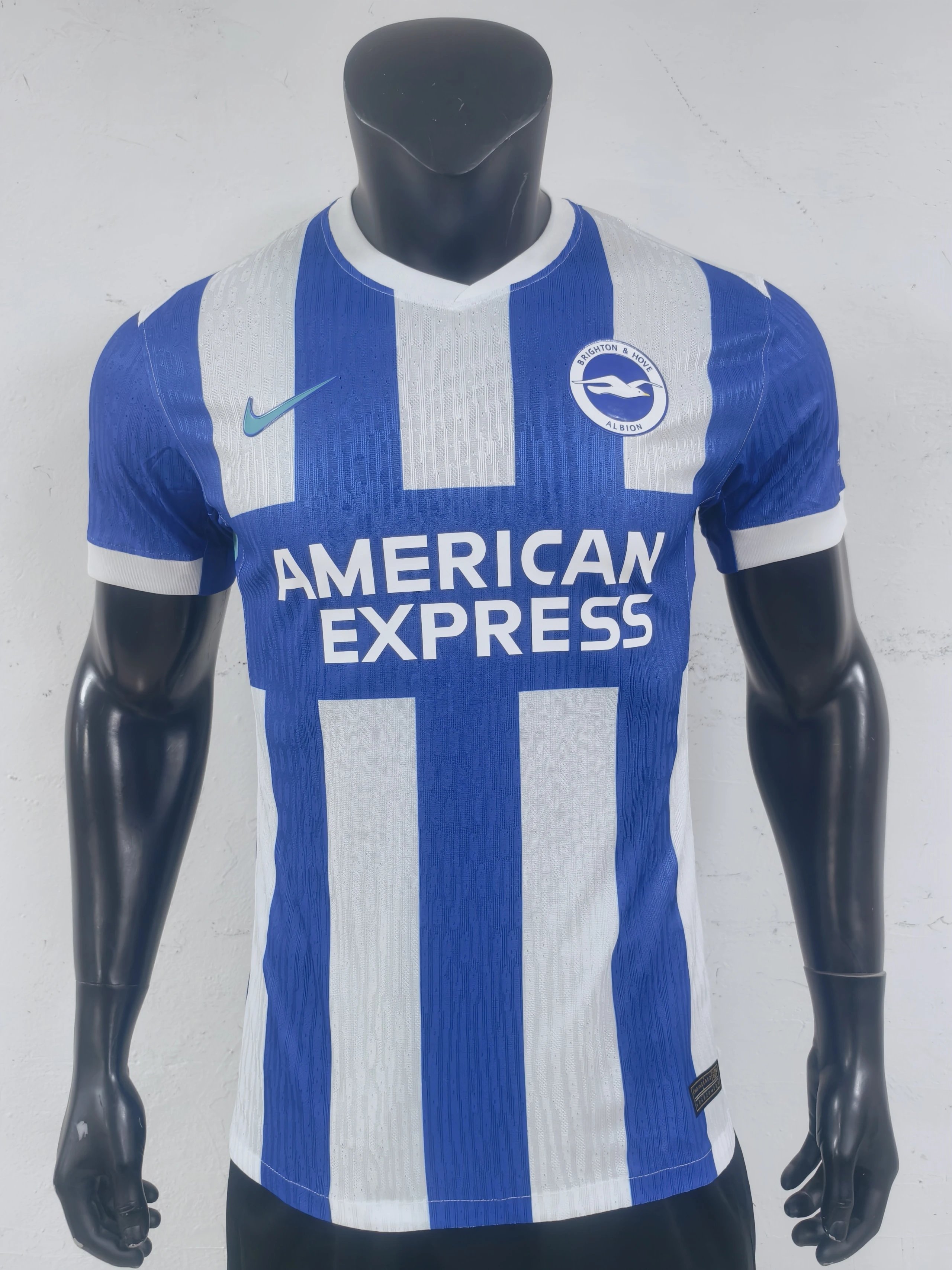 Brighton's home ground
