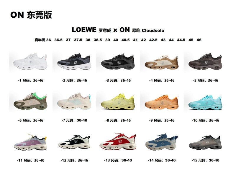 ON Loewe X On Cloudsolo