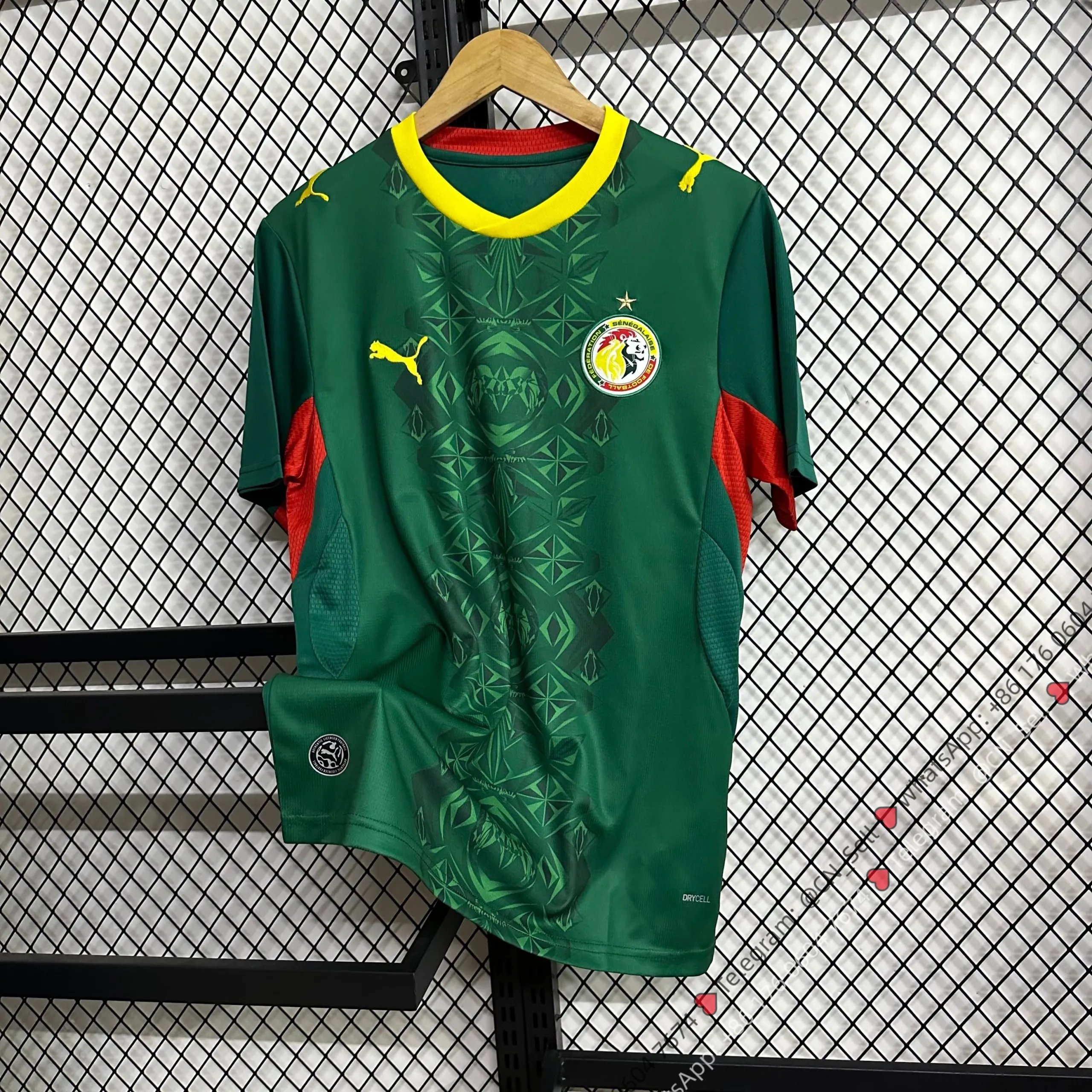 Puma Senegal National Team 2023 Home Jersey Green - 1