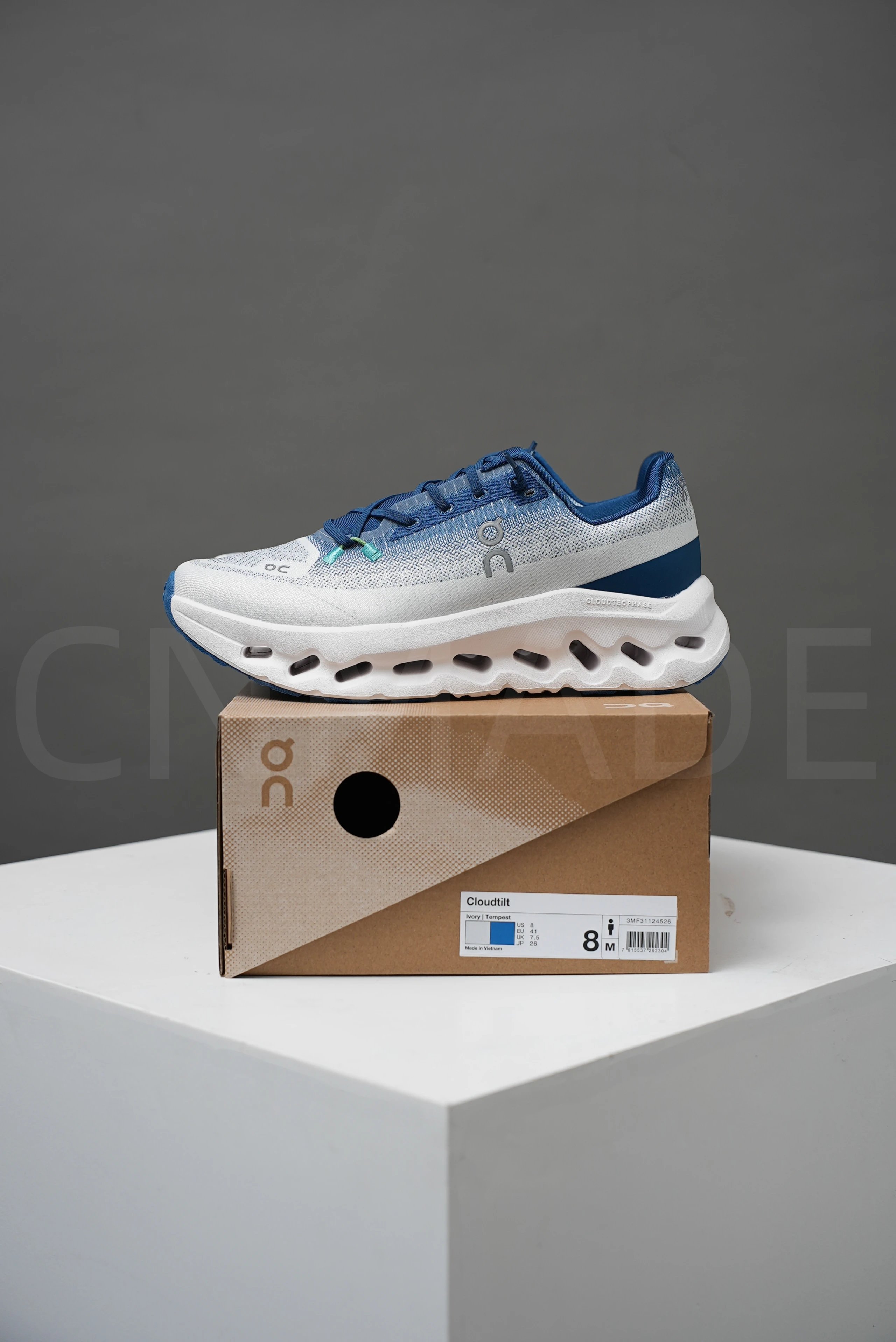 3MF31124526  Lvory Tempest