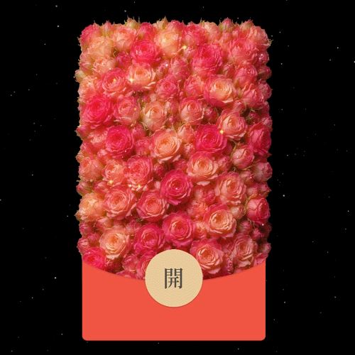 粉玫瑰/动态音乐/520情人节快乐/qiqi红包封面皮肤