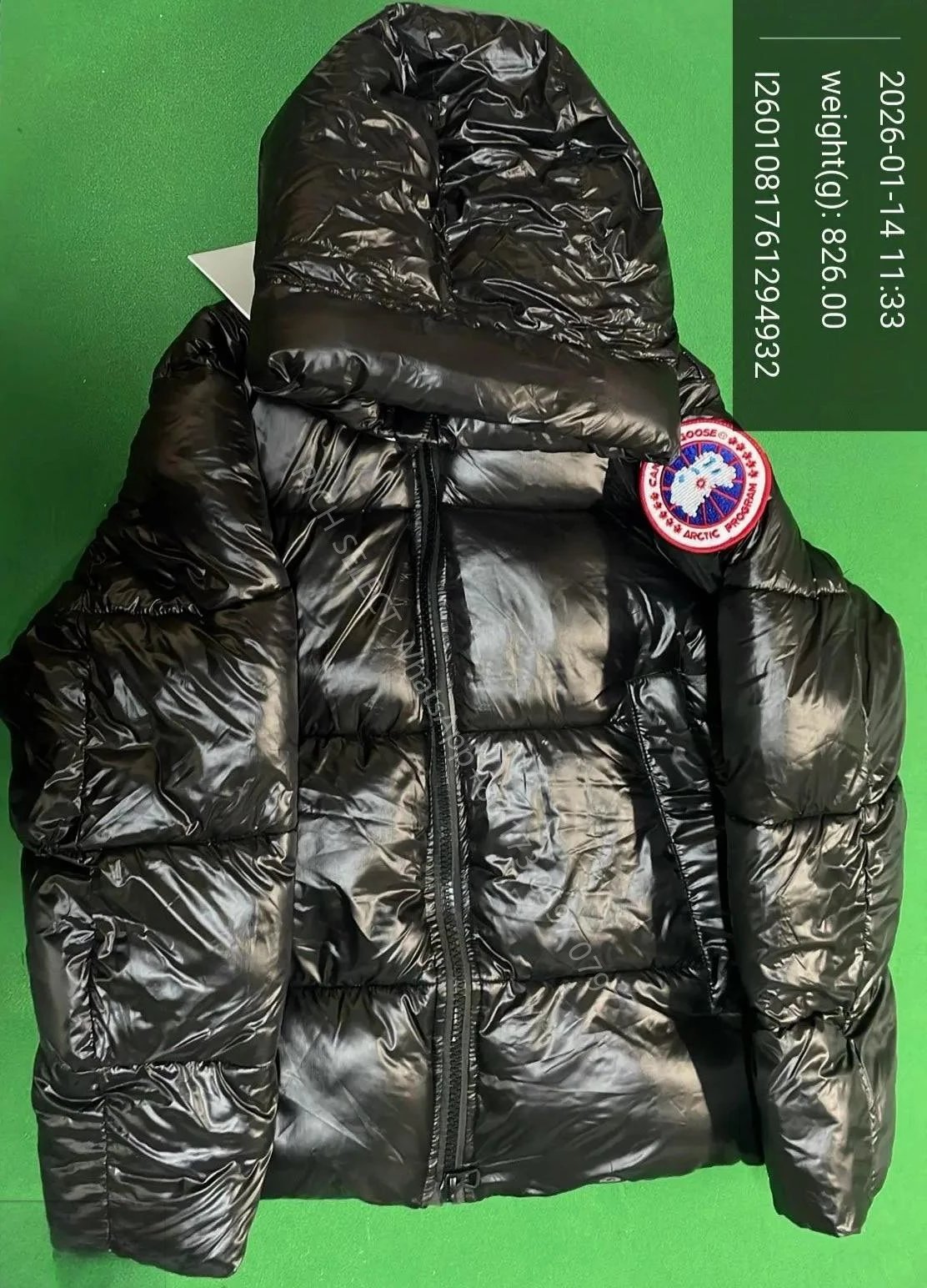 Goose - Shiny Goose: Black