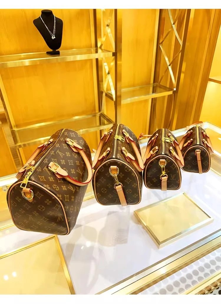 Louis Vuitton Multiple handbag models image 2