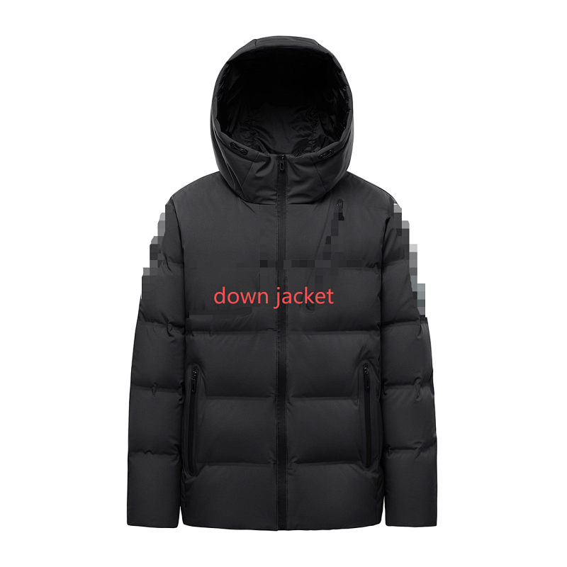 （¥598）##The Gorham Down Jacket 男款羽绒服C