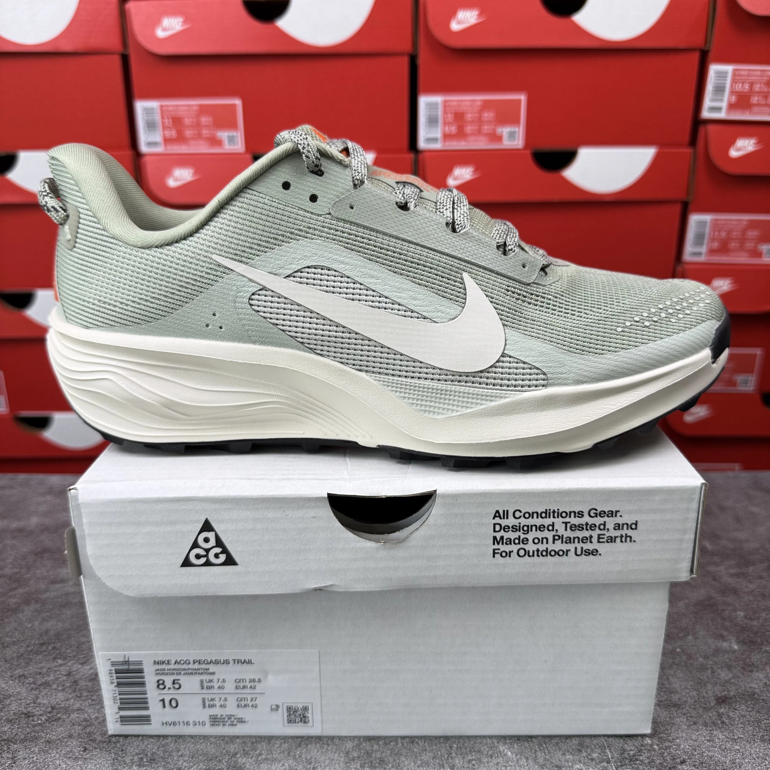 ACG Pegasus Trail 'HV8116-310'