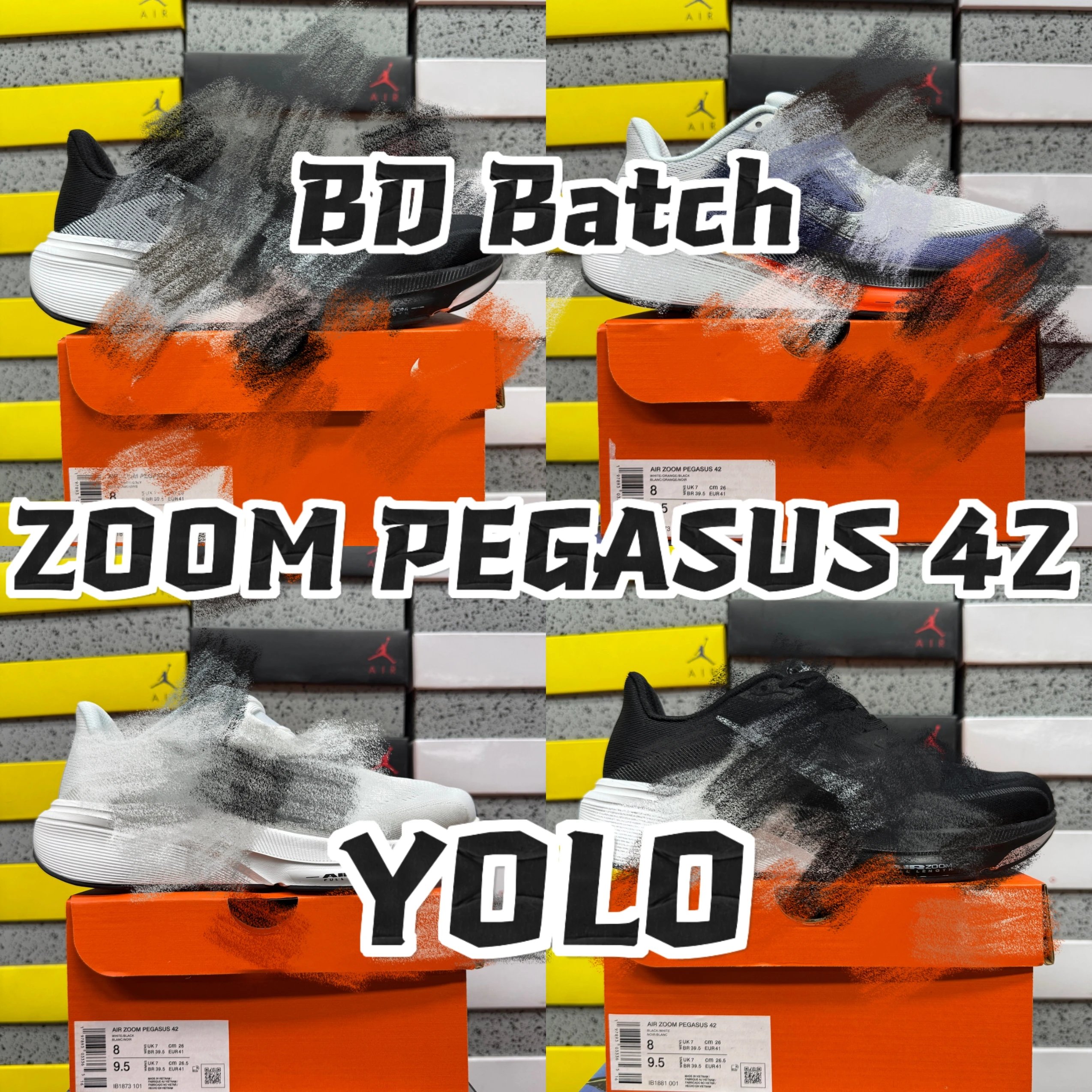 【BD版】ZOOM PEGASUS 42/PLUS