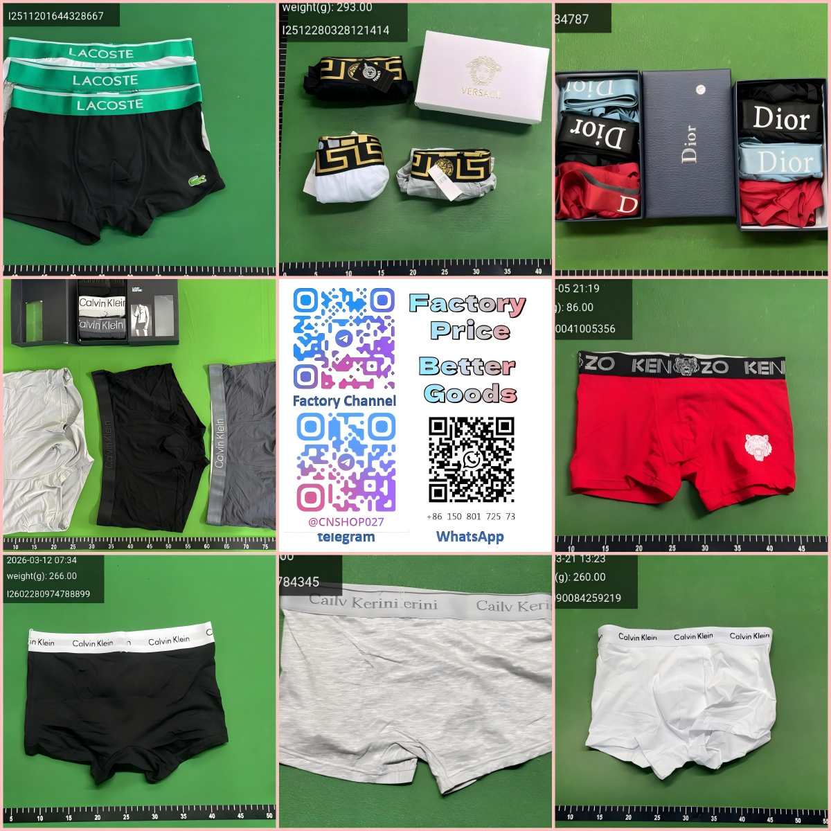 zk33-C Home K Tiger Crocodile Underwear Collection WhatsApp+86 150 8017 2573