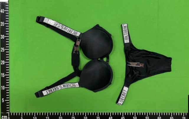 Victoria's Secret Underwear Rhinestone Logo Strap Bra and Thong Set product detail image 6
