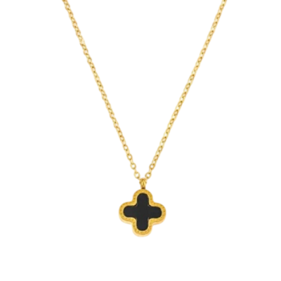 PORTA COLLARES