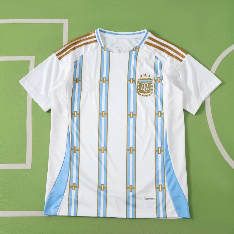 2026 FIFA World Cup Argentina Concept version Fan version