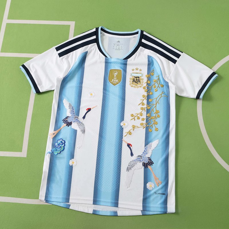 2026 FIFA World Cup Argentina home Embroidery Player version