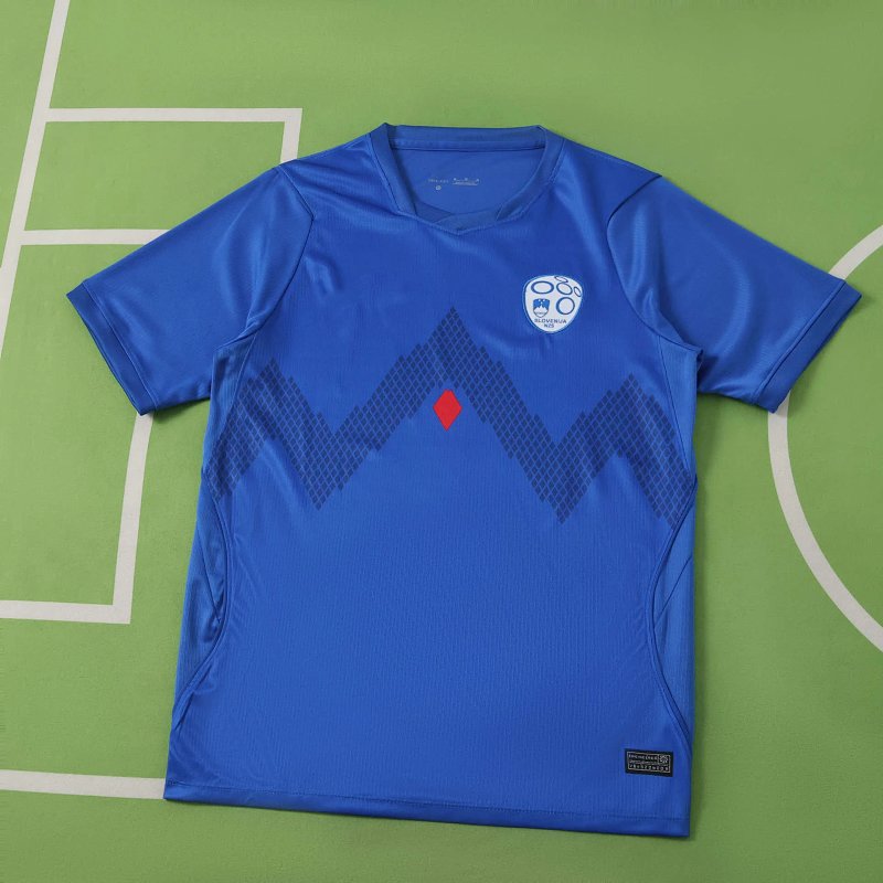 2026 Slovenia home Fan version