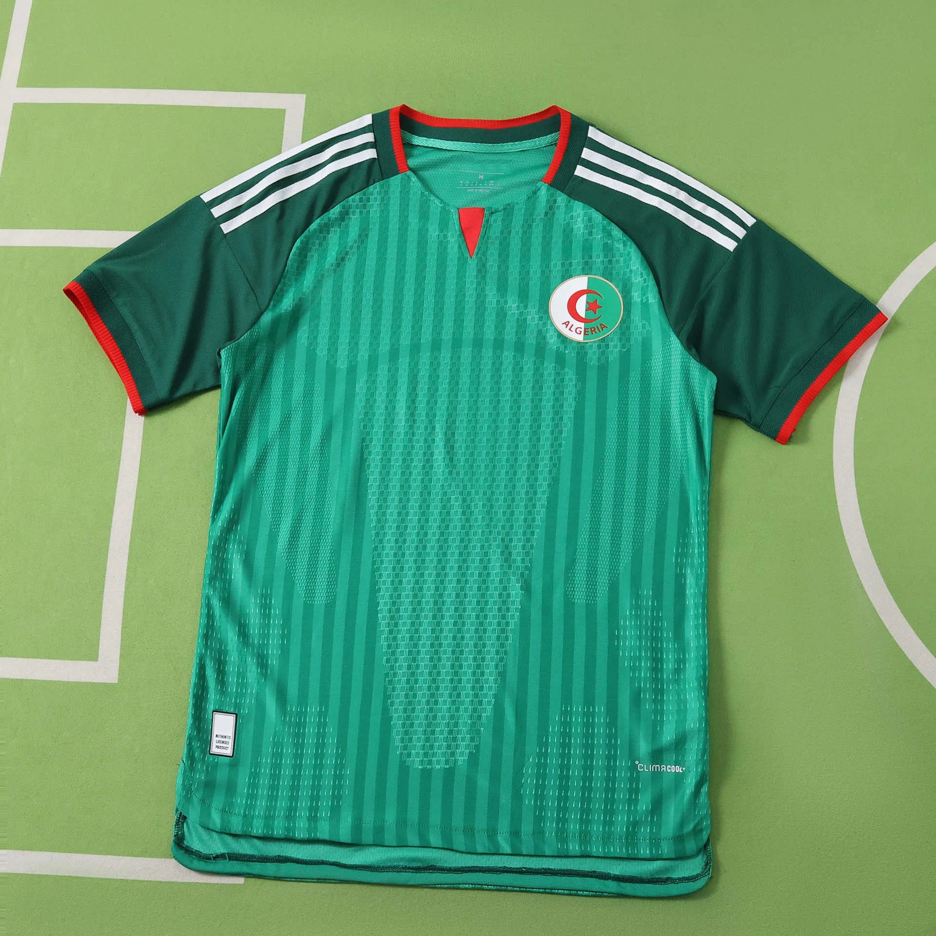 2026 Algeria away green player version