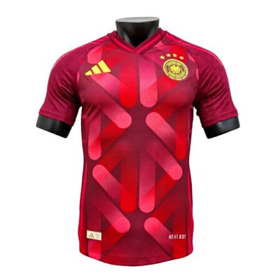 2526 Season Germany Away Jersey Player Version