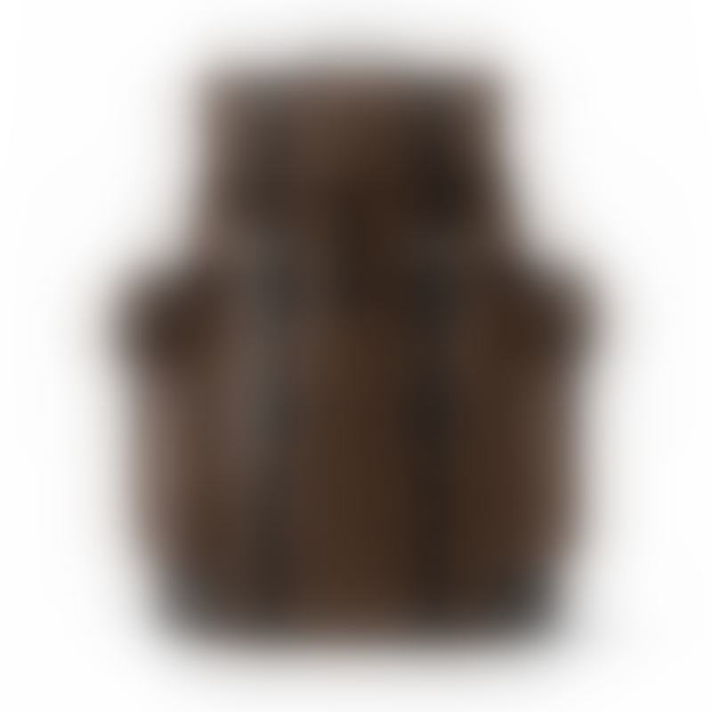 Louis Vuitton Backpack