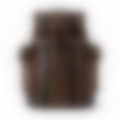 Louis Vuitton Backpack
