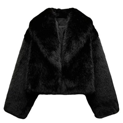 Zara Fur Jacket